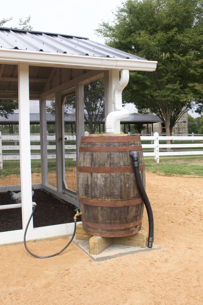 A Tour of Our Best-Selling Carolina Coop