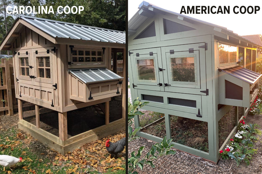 Chicken Coop Comparison between Carolina and American Coops
