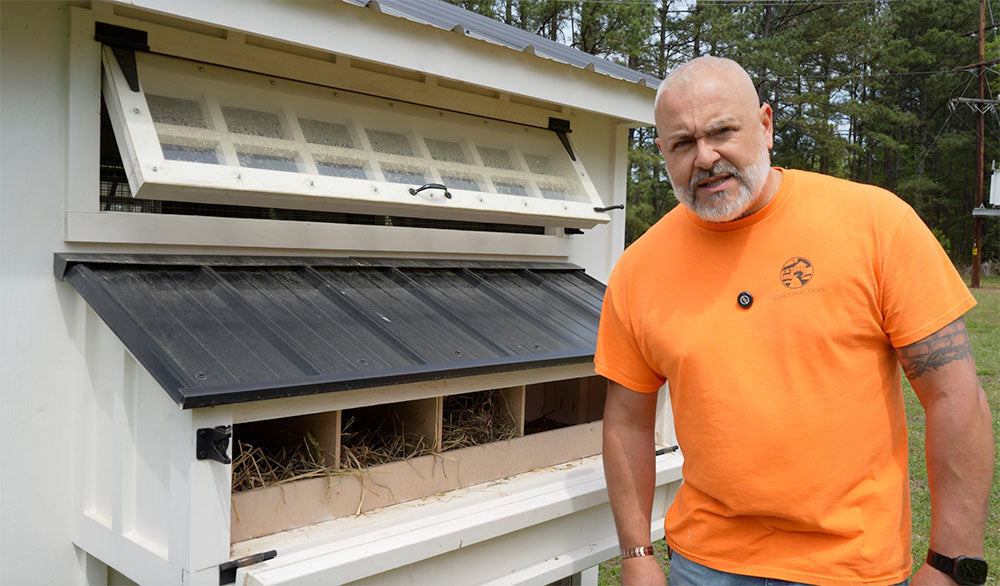 How to Identify and Manage Roost Mites in Your Coop