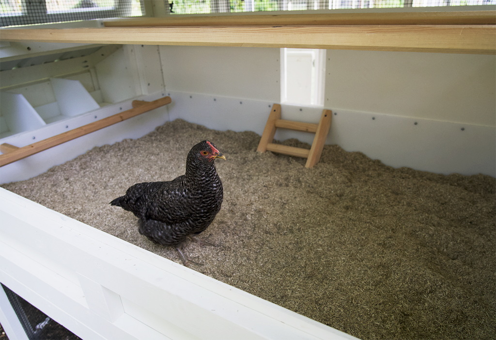 hemp bedding for chickens