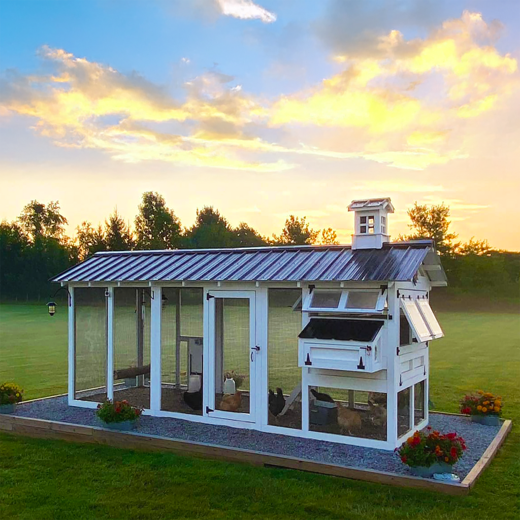 Custom Check Coops Ready-To-Assemble Coops | Shop Stylish Designs | carolinacoops