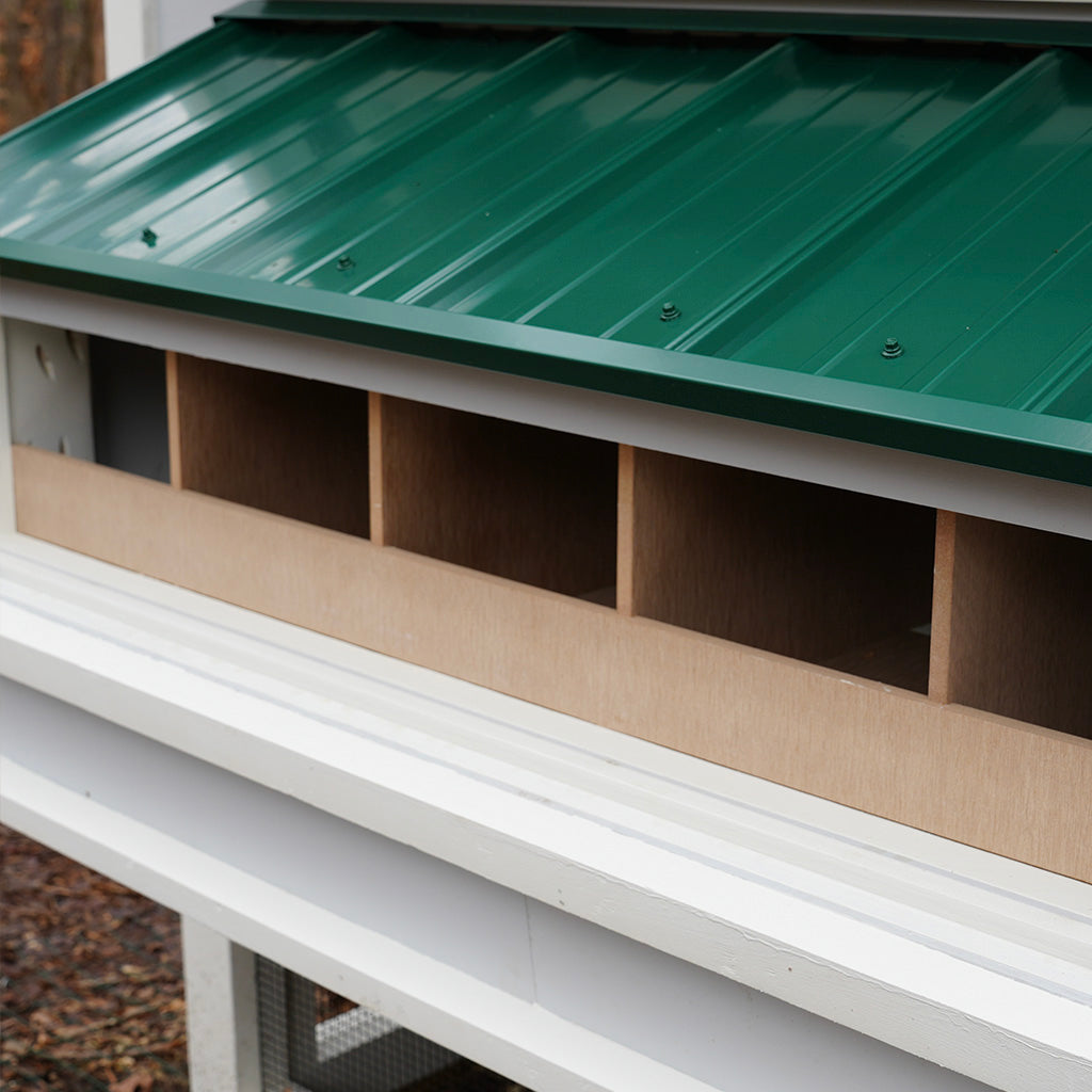 egg-hutches-easy-collection-for-chickens-carolinacoops