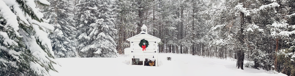 Winterize Your Coop