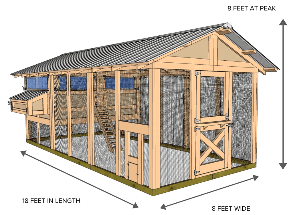 american coop drawing