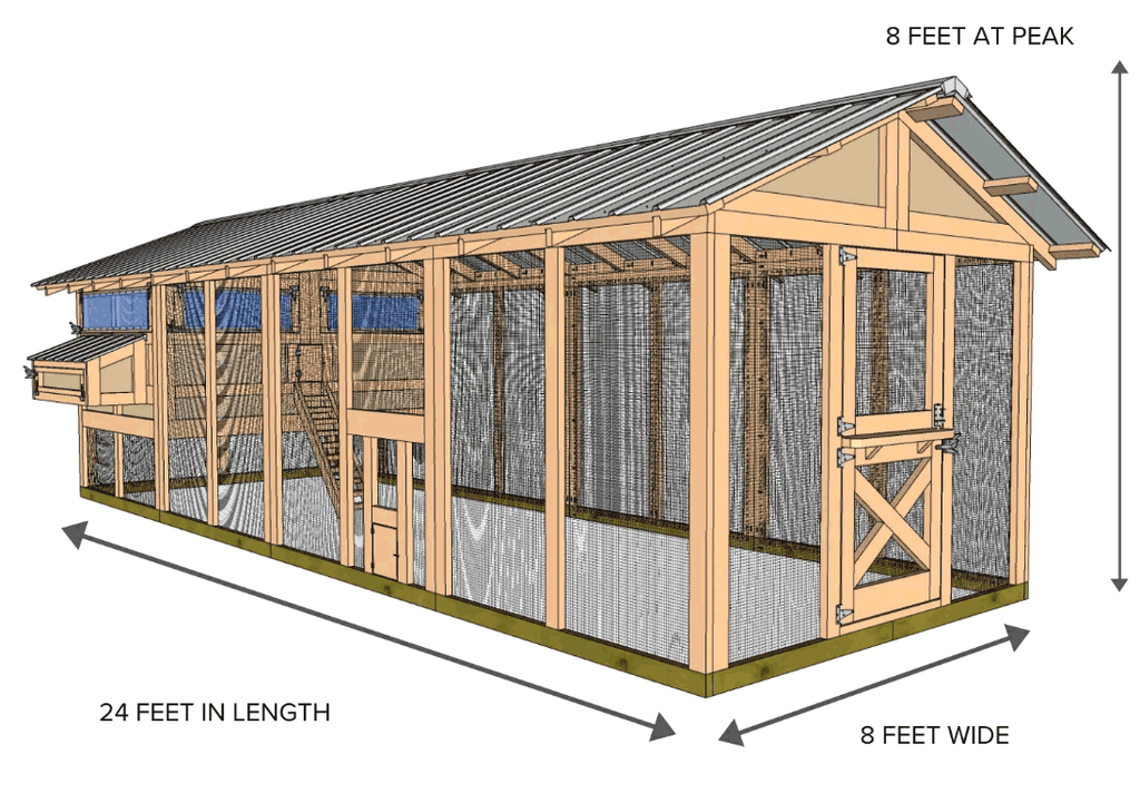 american coop drawing