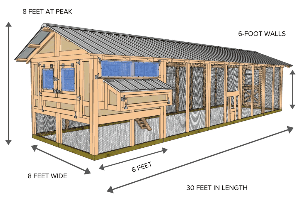 american coop drawing