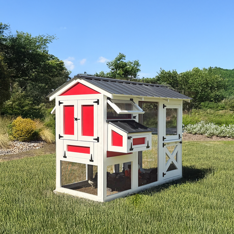 small backyard chicken coop