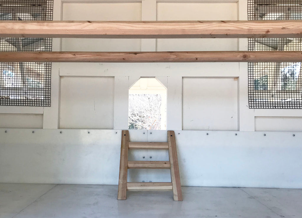 Carolina Coops Interior Henhouse Ladder