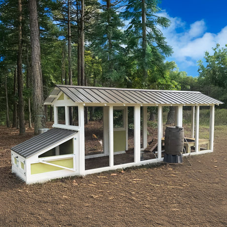 duck coop