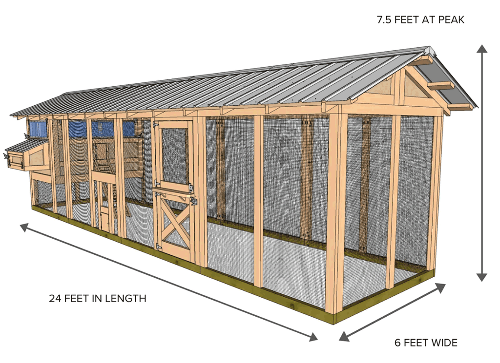 american coop drawing