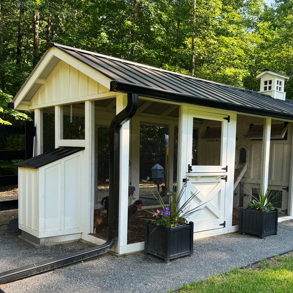 feeder hopper on a Carolina Coop