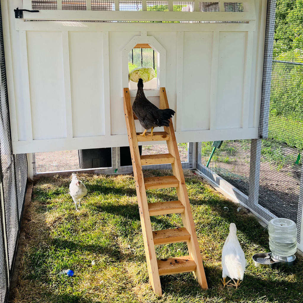 Chicken Coop Henhouse Ladder for Easy Climbing Chicken Coop Henhouse Ladder for Easy Climbing