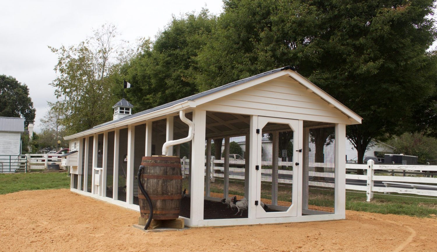 Carolina Coops-Fearrington Village-commercial chicken coop