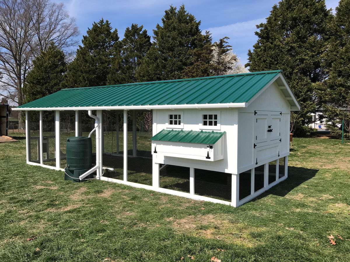 Can You Put A Metal Roof On A Chicken Coop at Brittany Blackwood blog