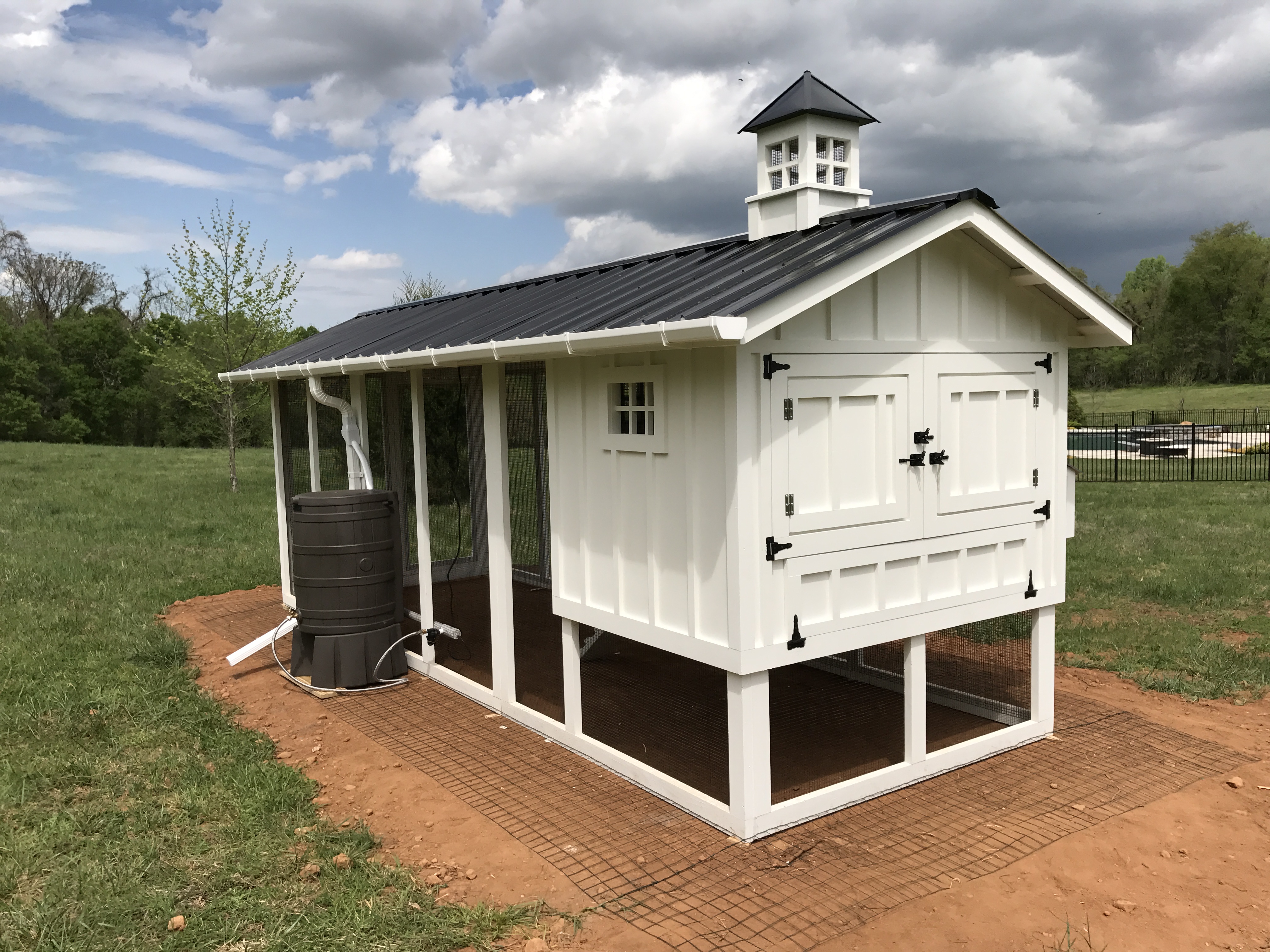 Rain Catching Auto Waterer Carolina Coops