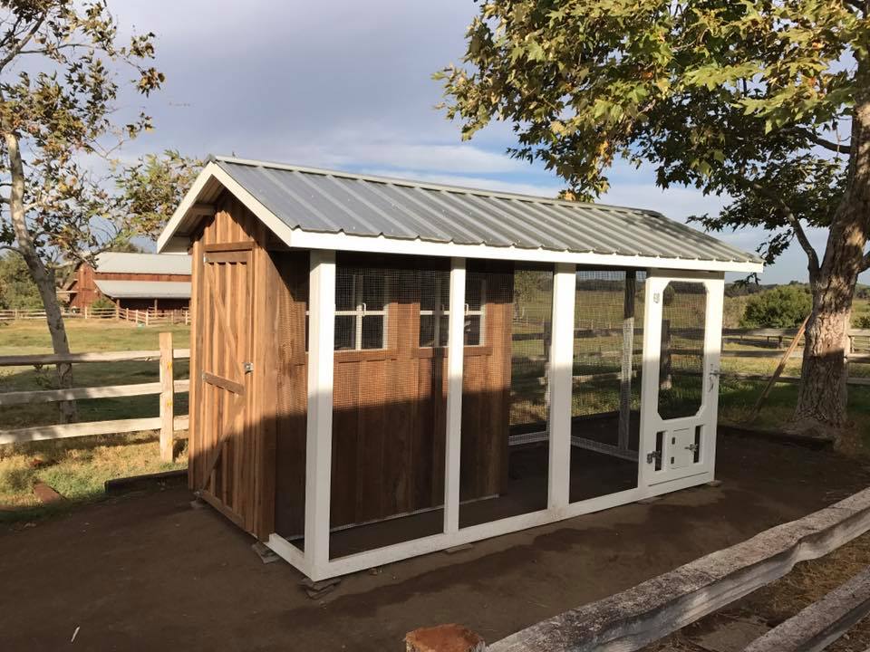 Carolina Chicken Coops Custom Backyard Chicken Coops