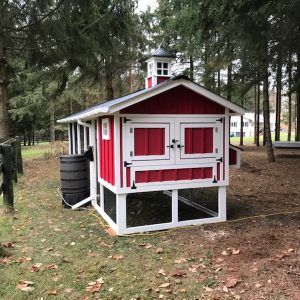 6' x 18' Carolina Coop with board and batten siding and heated water system in Canada