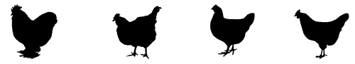 Carolina Coops - black CHICKENS-logo-500P