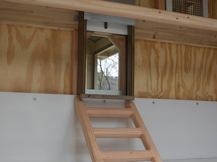 Carolina Coops-CHICKEN-DOOR-henhouse