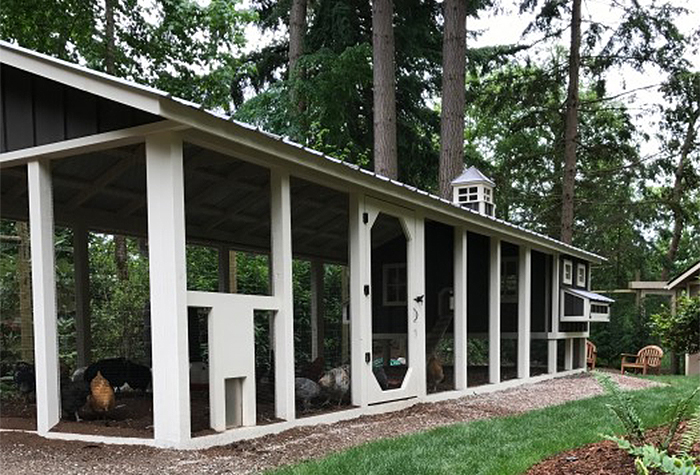 Carolina Coop with board and batten siding in Seattle, WA