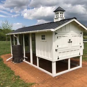 6' x 12' Carolina Coops -rain barrel and board and batten custom chicken coopCarolina Coops -rain barrel and board and batten custom chicken coop