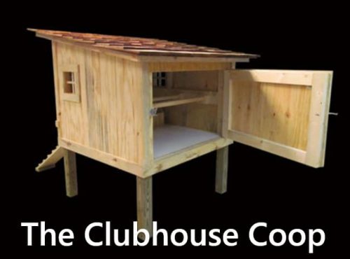 Carolina Coops-The Clubhouse Coop-3