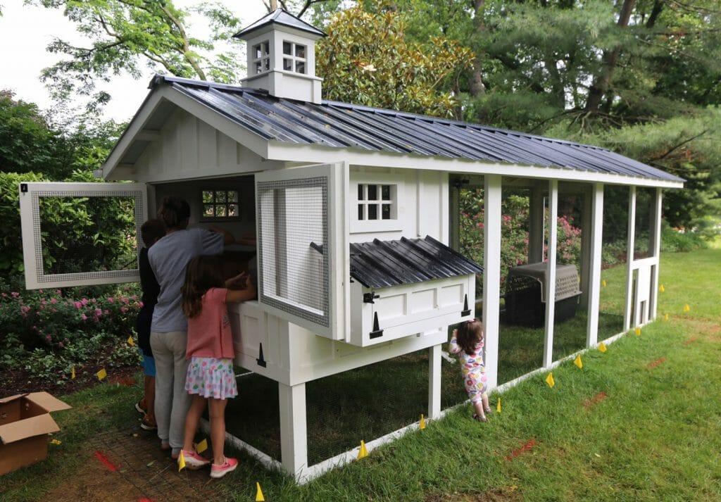 Carolina Chicken Coops Custom Backyard Chicken Coops