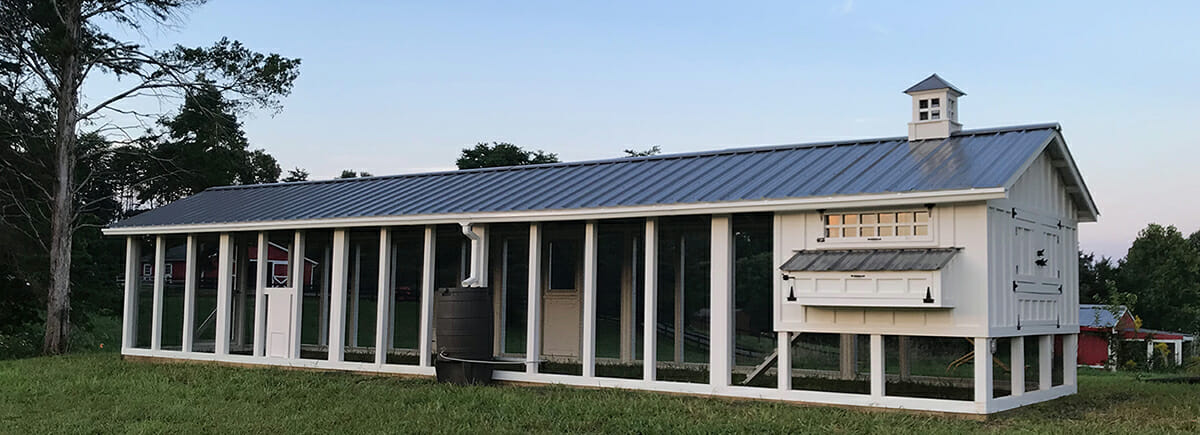 Carolina Coops -Custom Designed Chicken Coop in Virginia