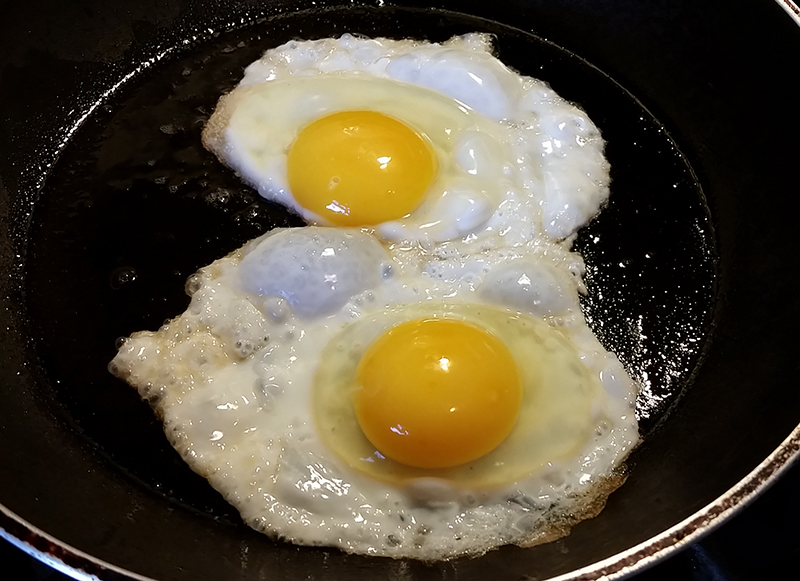 Carolina Coops - Resources - eggs are nutrient dense