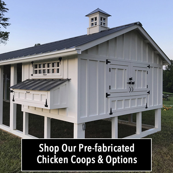 Carolina Chicken Coops | Custom Backyard Chicken Coops