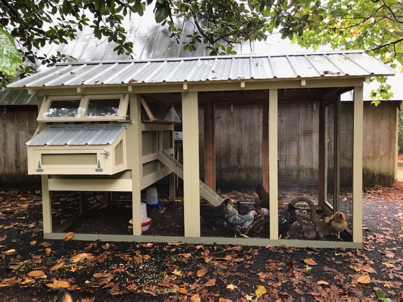 Standard 6' x 12' American Coop with 4' x 6' henhouse painted by customer