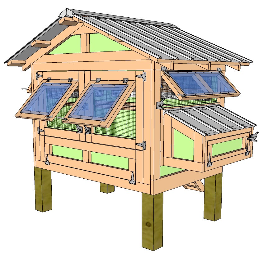 American Coop Penthouse 4'x6' back