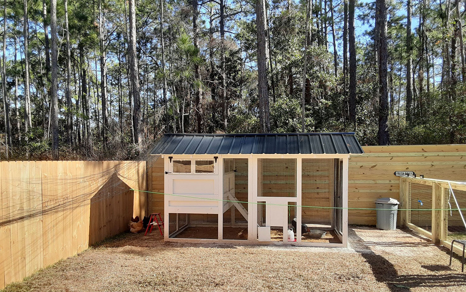 6x12 American Coop in Miami, Florida with fenced in area with netting