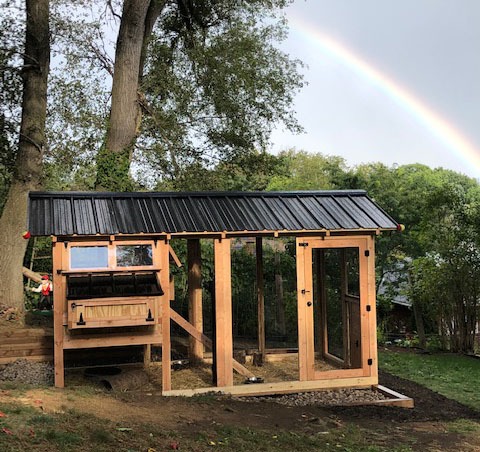 Something to keep in mind when preparing for your coop is that you want your run to mimic what your flock would find in nature. Natural, organic substrates work great in your coop run area. You can use a compost material, topsoil, untreated mulch, leaves, grass clippings, or wood chips. The last three can be added in the run periodically to bring interest back to the run for your flock. A couple things to avoid as substrates for your run are cedar mulch and pine straw. Due to the sensitivity of a chicken’s respiratory system, the odor emitted from cedar mulch can be detrimental to your flock. Pine straw is too acidic to be digested. (Note: Pine straw is not to be confused with PINE SHAVINGS! Pine shavings are perfectly fine to use in your run, although it does tend to be a bit of a mess should your run area get wet. The shavings tend to clump together and not dry well.) The key is to keep your flock happy and healthy by giving them a natural environment for them to forage for bugs, take a dust bath, and allow for beneficial microbes in the ground to do their job.