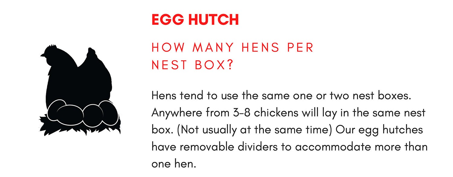 how many chickens fit in my coop