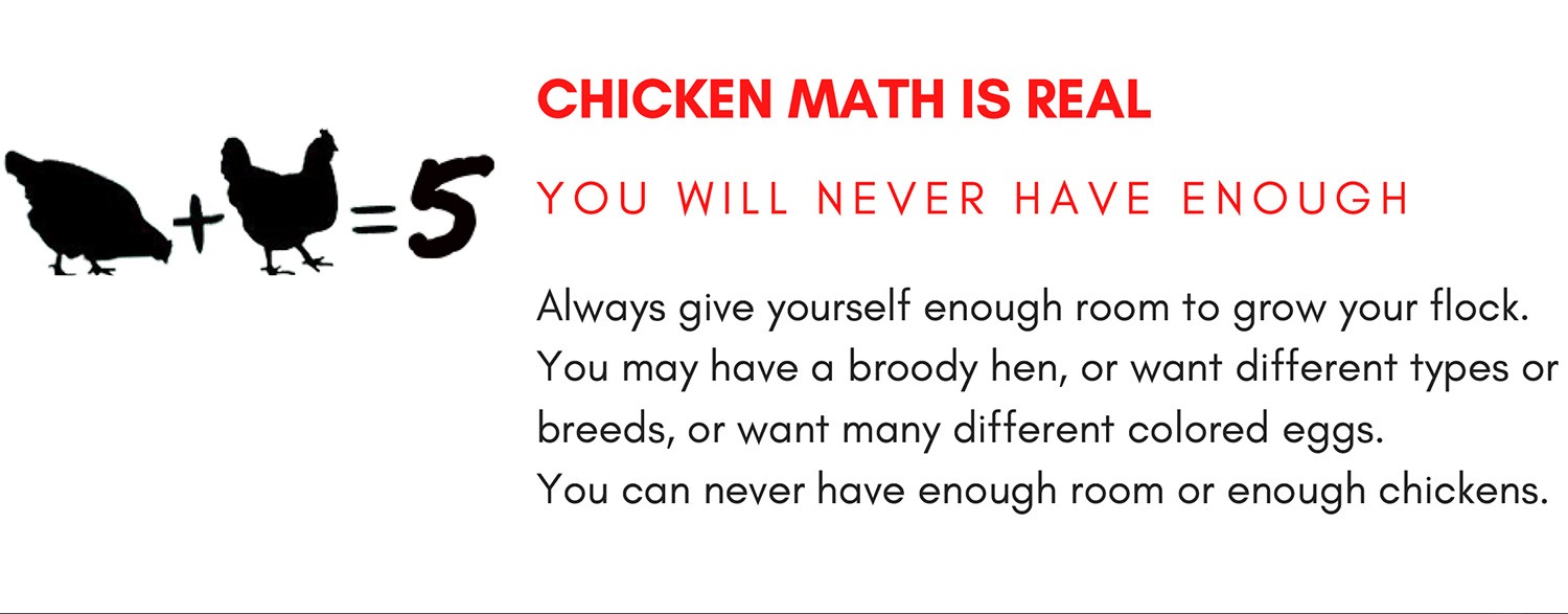 how many chickens fit in my coop