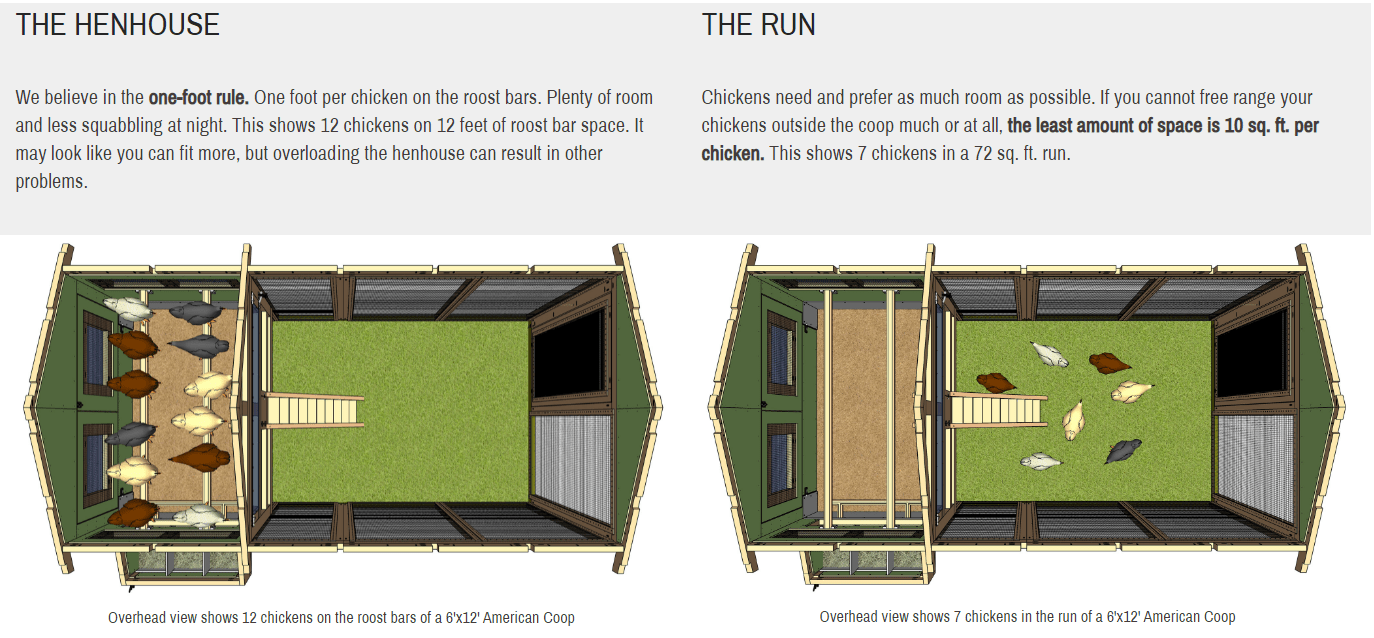 what size coop do I need for my flock- graphic