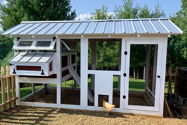 AMERICAN COOP -HOMEPAGE THB