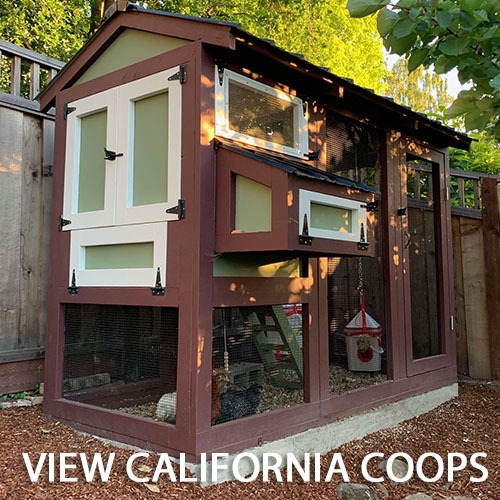 Carolina Coops - CALI Coops Gallery
