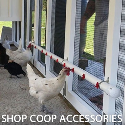 SHOP COOP ACCESSORIES THB