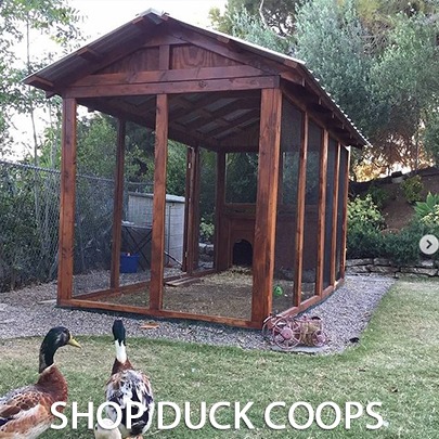 SHOP DUCK COOPS