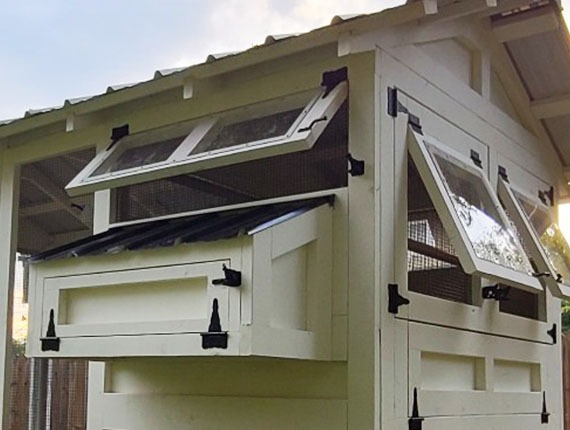 polycarbonate windows on Carolina Coops