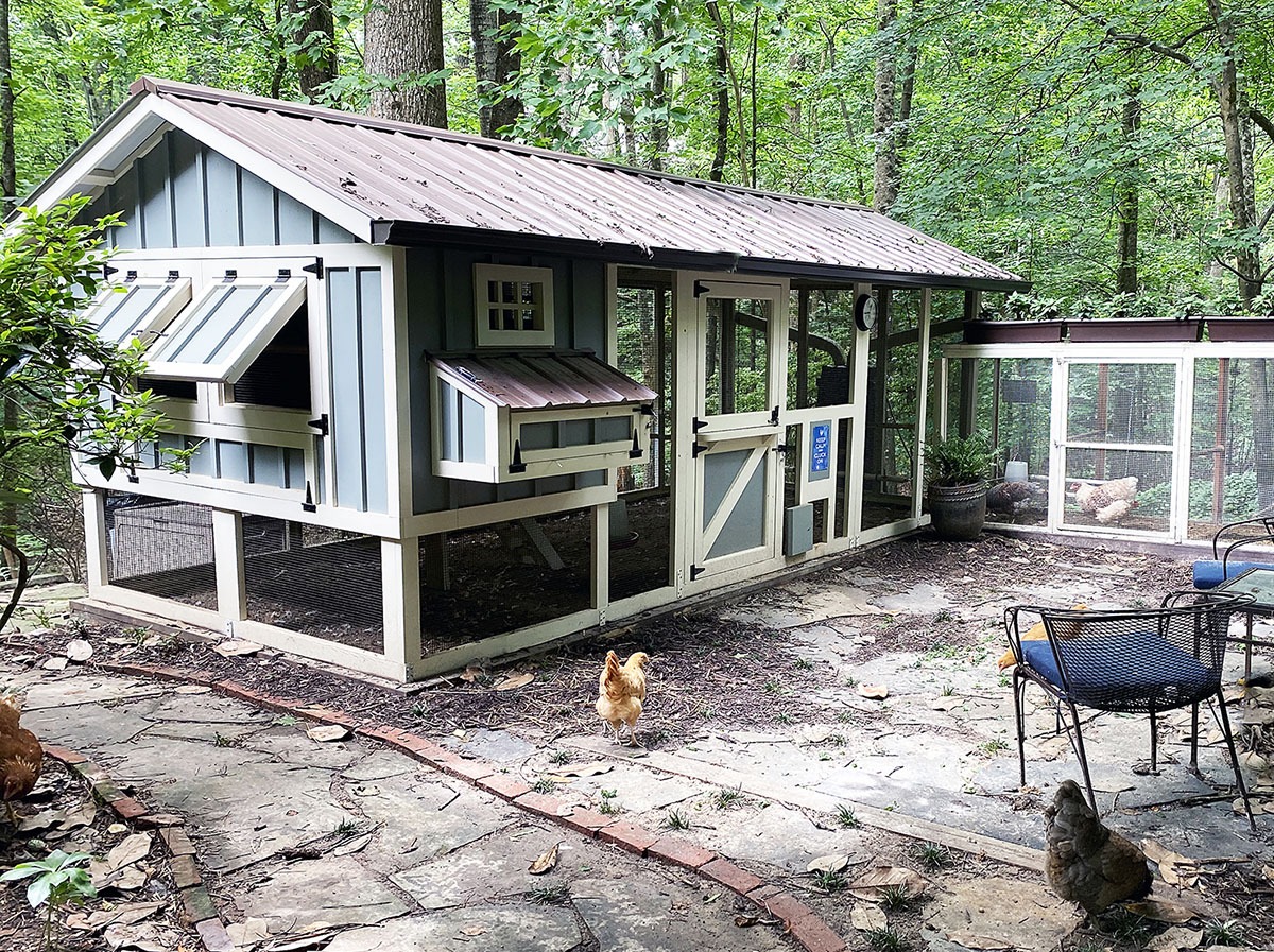8'x18' Carolina Coop in N. Atlanta, Georgia with board and batten siding with Dutch door