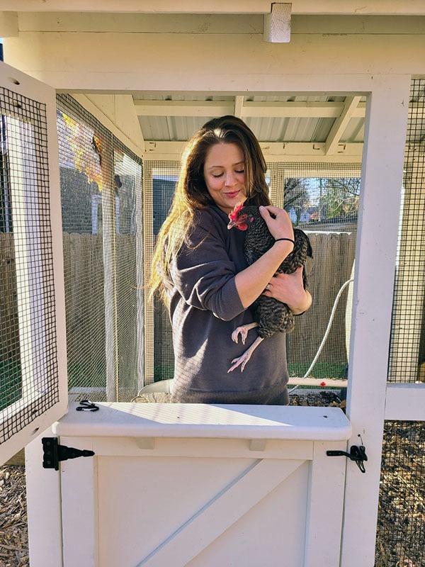 Dutch door on a American Coop