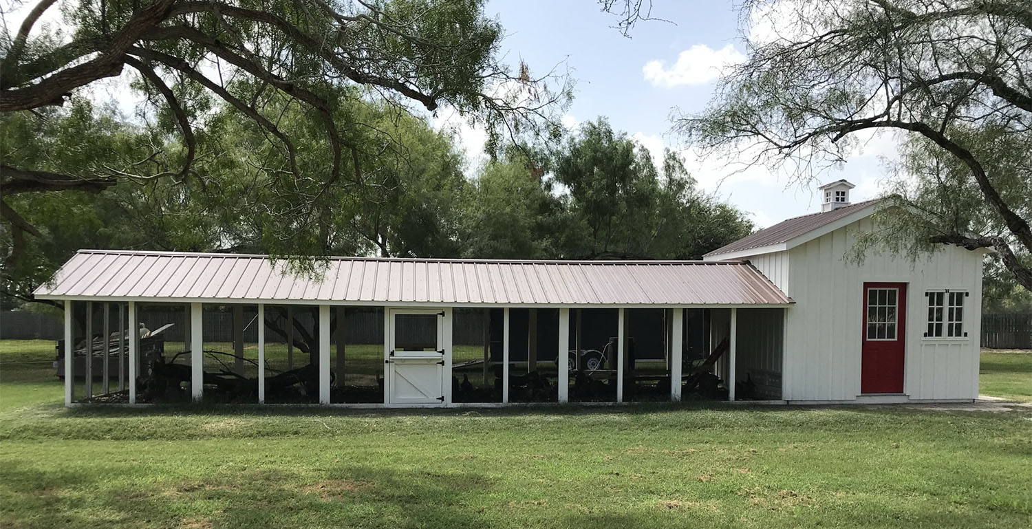 Craftsman Coop in Texas with 12'x12' henhouse-shed and 40' run
