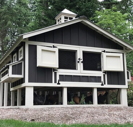 Carolina Coop paint and stain options