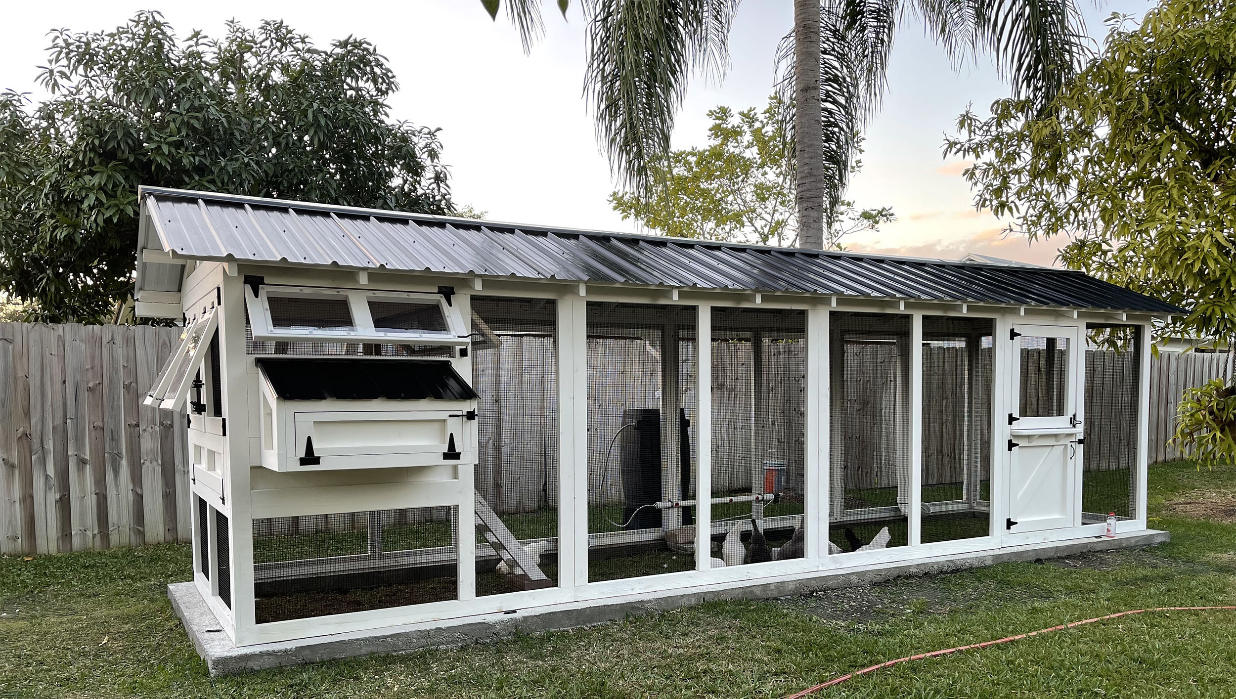 6x24 American Coop with Dutch door in Florida