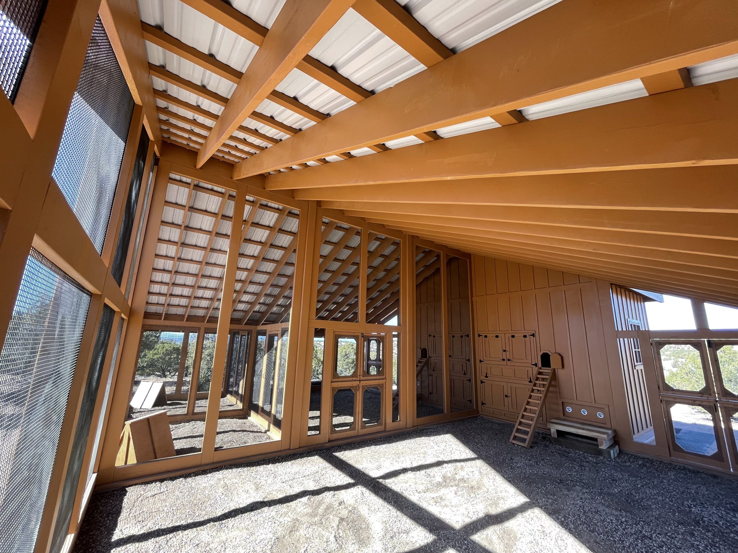 interior fisheye shot inside the run of a custom chicken coop in Santa Fe, NM