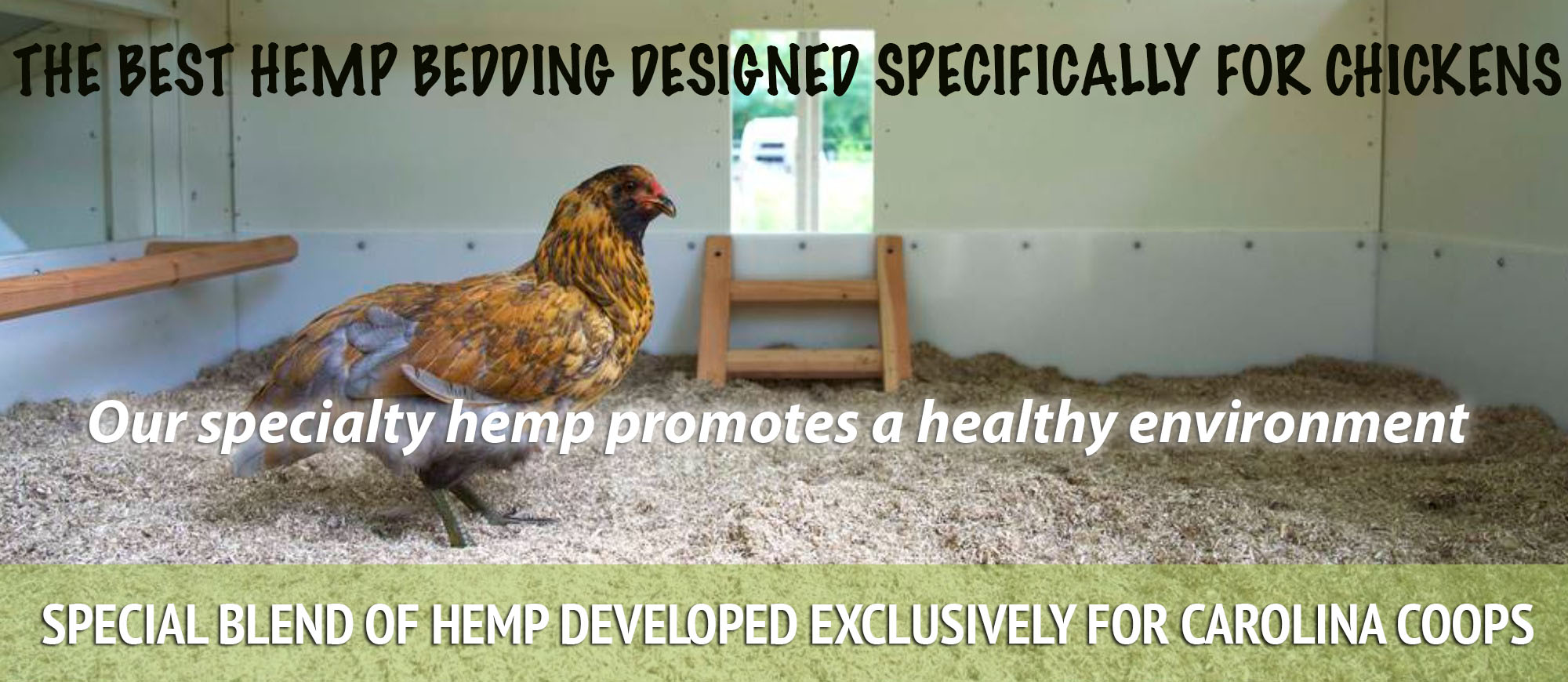 hemp landing page special blendjpg