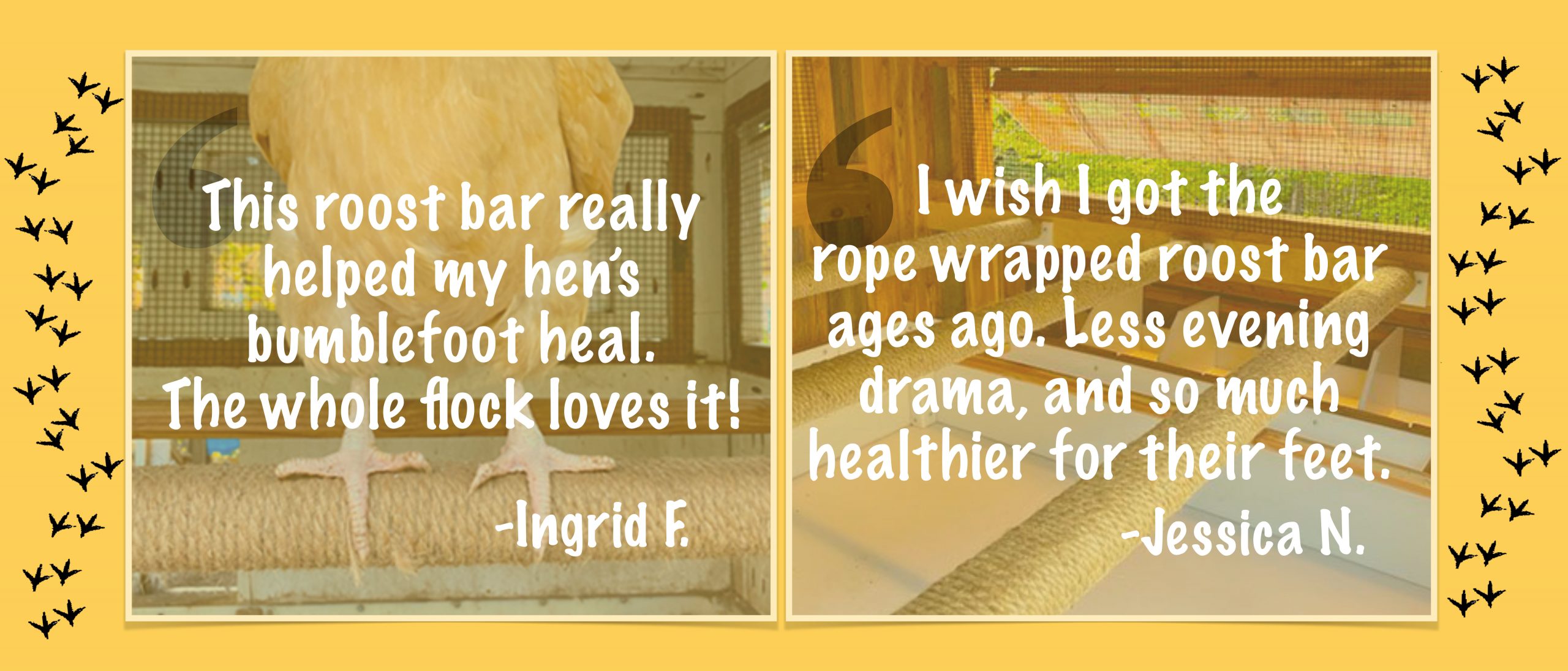 roostbar quotes